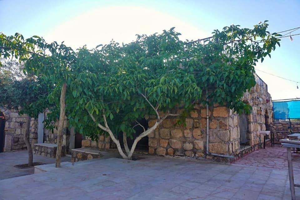 Al-Qasr Heritige Inn Jordan מראה חיצוני תמונה